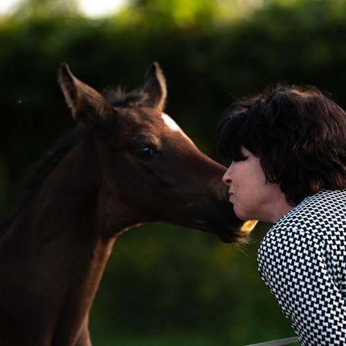Photo #13316833