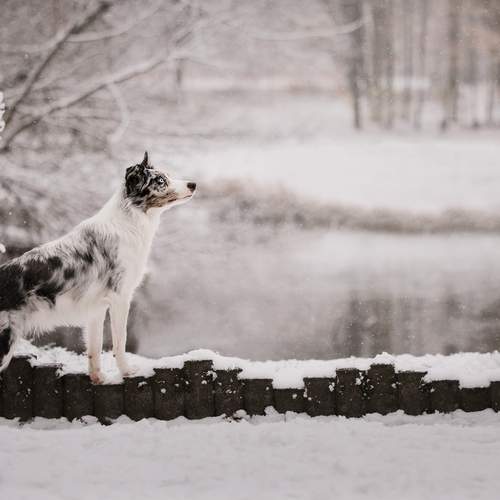 Photo #13316841