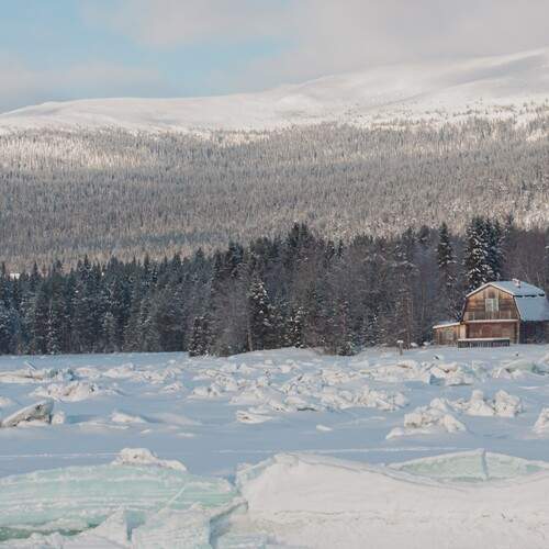 Photo #13316848
