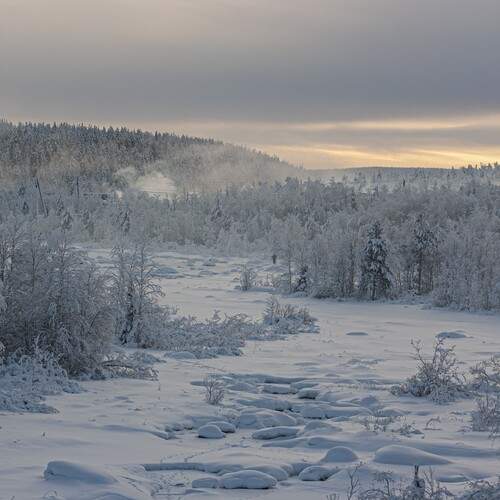 Photo #13316851