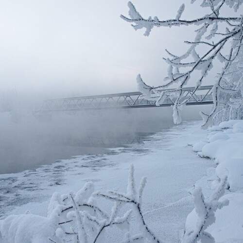 Photo #13316853