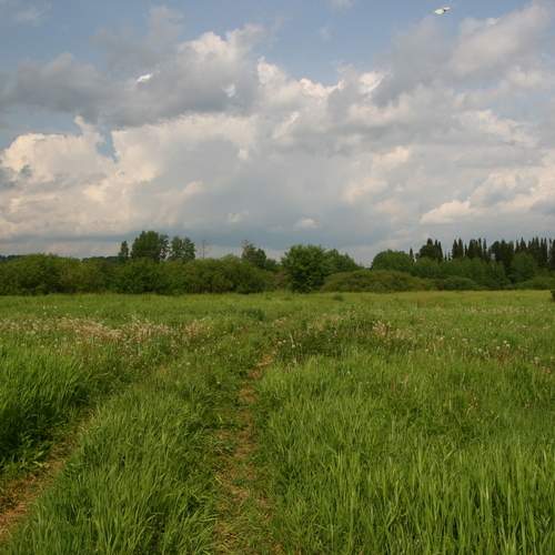 Photo #13316926