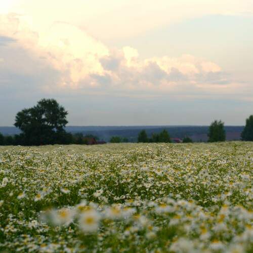 Photo #13316998
