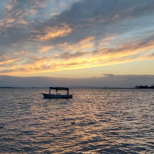 Photo #13317042