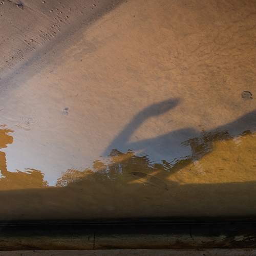 Photo #13317088