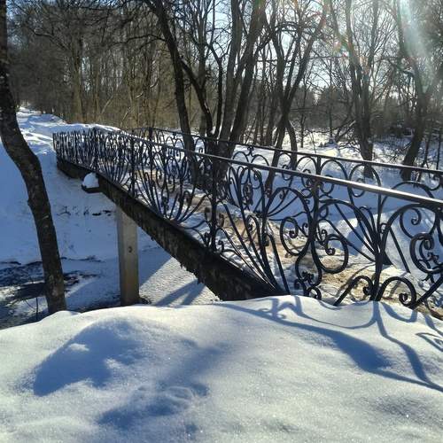 Photo #13317110