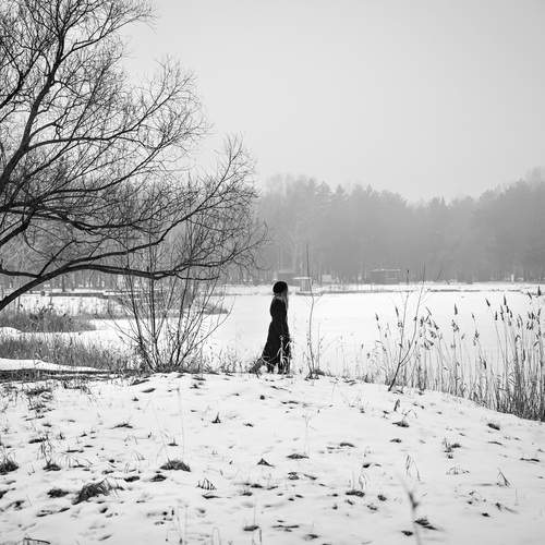 Photo #13317154