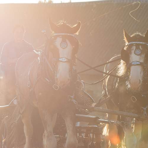 Photo #13317319