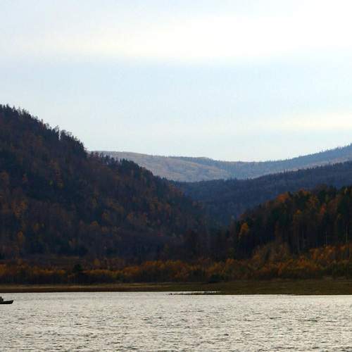 Photo #13317328