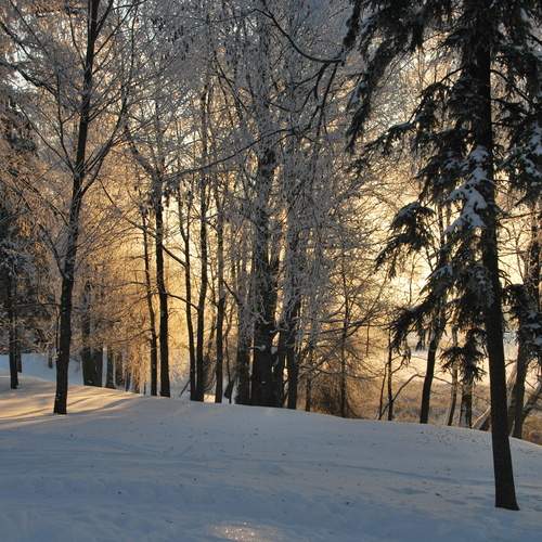 Photo #13317356