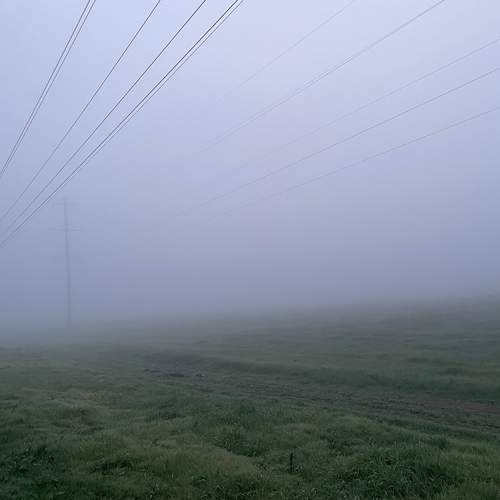 Photo #13317403
