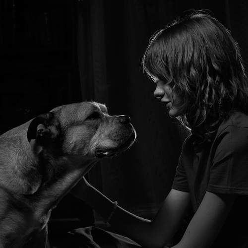 Photo #13317462
