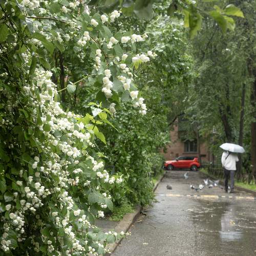 Photo #13317691