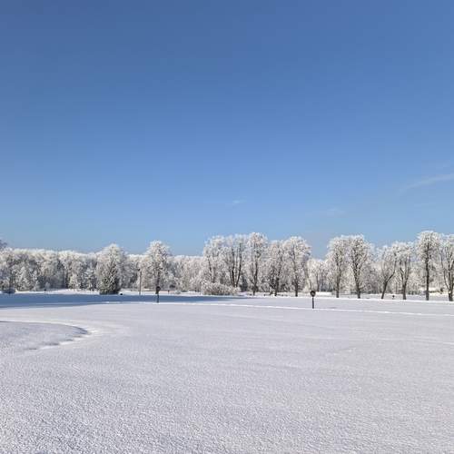 Photo #13317709