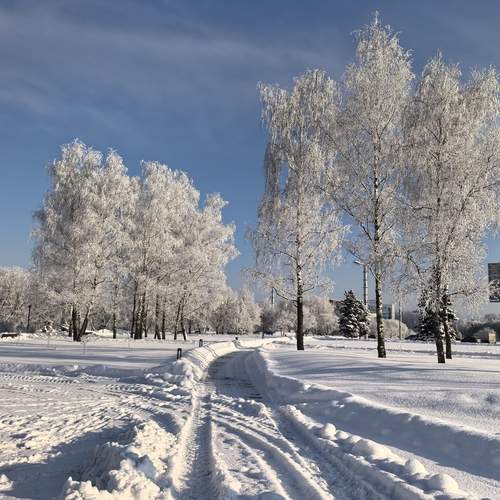 Photo #13317746