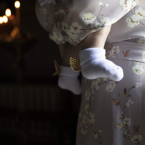 Photo #13317776