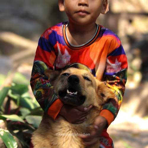 Photo #13317783
