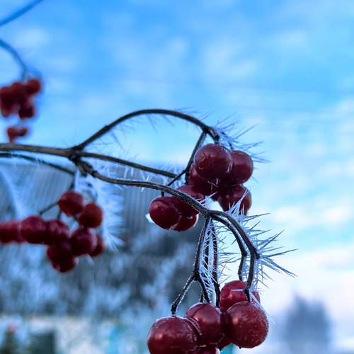 Photo #13317851