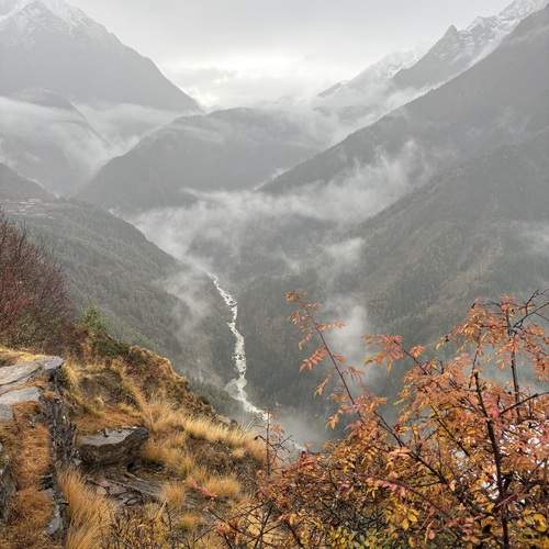 Photo #13317852