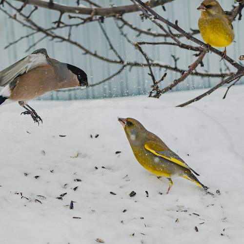 Photo #13317901