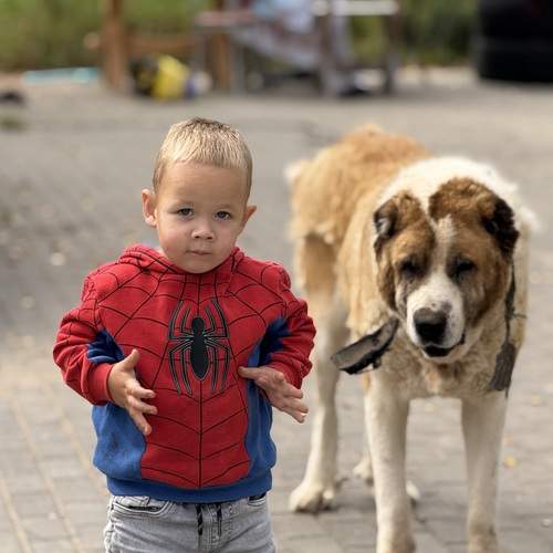Photo #13317927