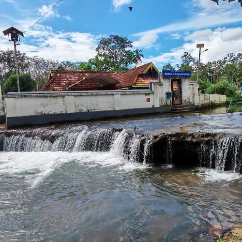 Photo #13317966
