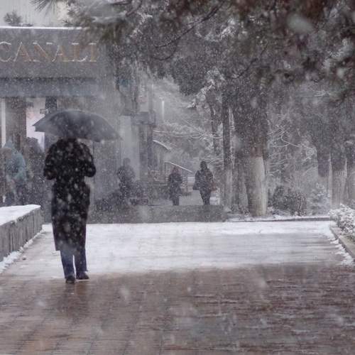 Photo #13318060