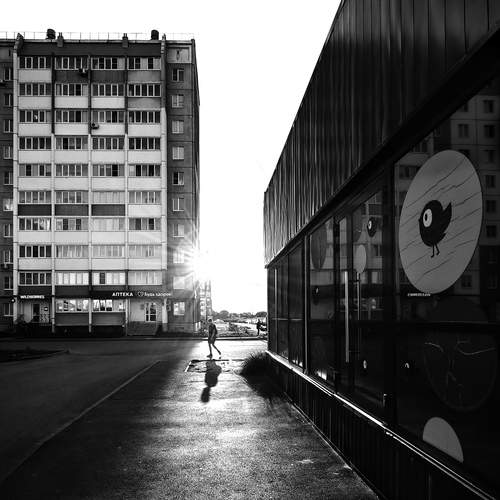 Photo #13318105
