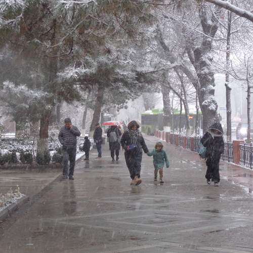 Photo #13318114