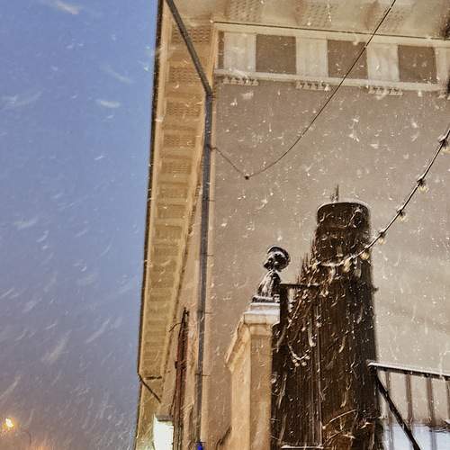 Photo #13318271