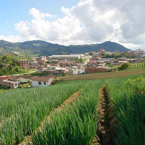 Photo #13318312