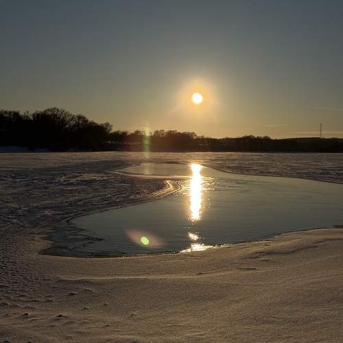 Photo #13318334