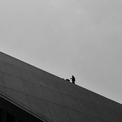 Photo #13318349