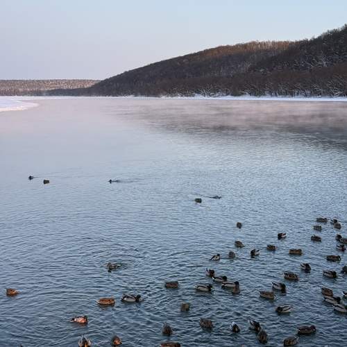 Photo #13318438