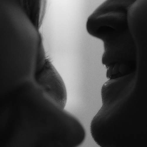 Photo #13318445