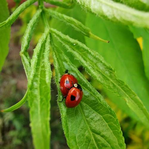 Photo #13318451