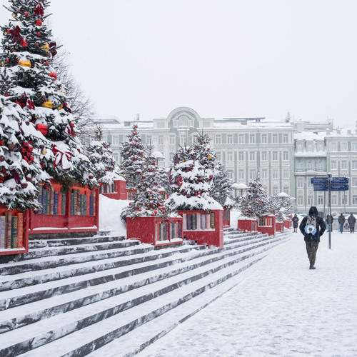 Photo #13318452