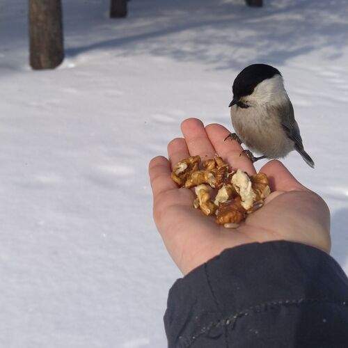 Photo #13318493
