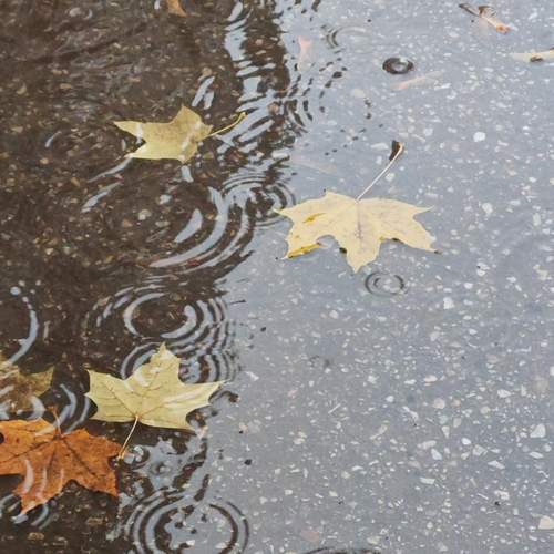 Photo #13318621