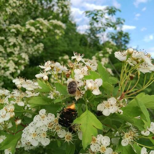 Photo #13318669