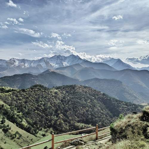 Photo #13318670