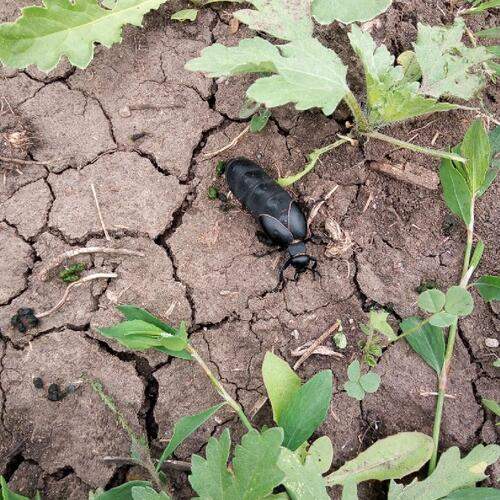 Photo #13318725