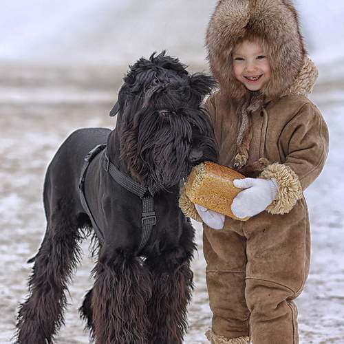 Фотография #13318839