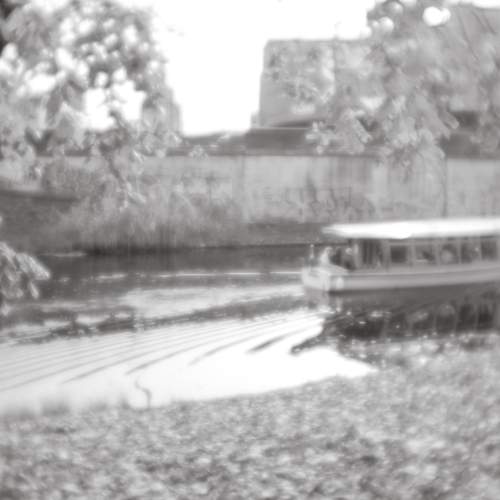 Photo #13318924