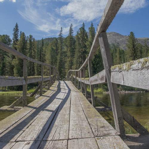 Photo #13319006
