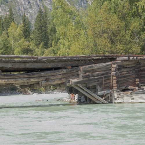 Photo #13319007