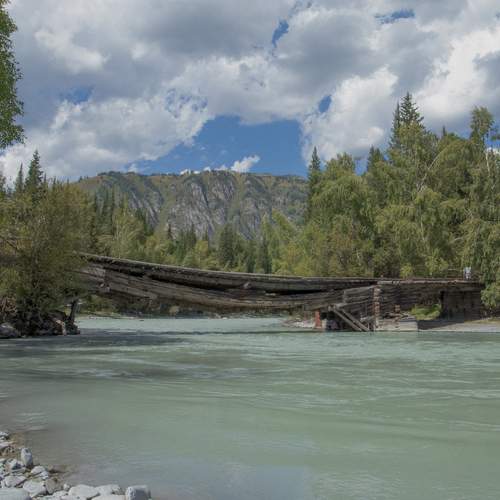 Photo #13319008