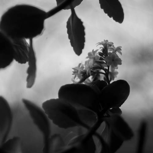 Photo #13319094
