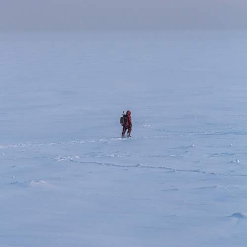 Photo #13319134