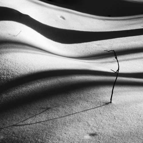 Photo #13319138